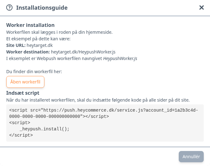 Installationsguiden med knappen Åben workerfil og scriptet, der skal indsættes